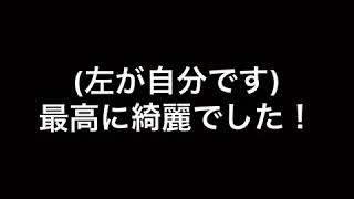 屋久島でダイビング！ウミガメに遭遇！！