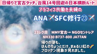 ✈️vlog【SFC修行】23レグ目  ANAウイングス　HN330 宮古-名古屋（中部) B737-800 JA77AN 搭乗記 Miyako to Nagoya 日帰り宮古タッチ ブロッケン現象