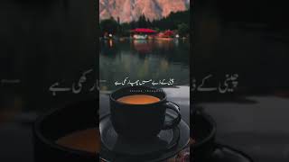 Best Lines | Chai Status #short #shortvideo #bollywood #songs #status #india #pakistan #poetry