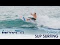 SUP Surfing in Taiwan | Facing Waves