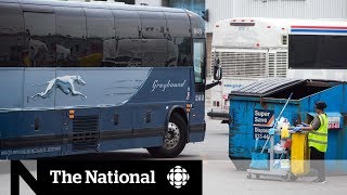 Trudeau urged to help Greyhound, but private companies could be the answer