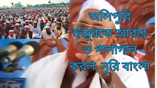 নুরি বাংলা ভন্ড, অলিপুরি হুজুরকে আবার ও গালাগাল করল