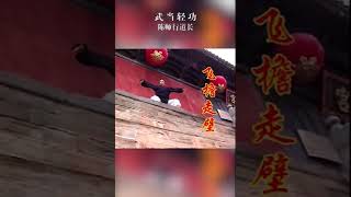 武当陈师行，一个童真心，唤醒轻功梦，一个人把武当轻功带入人们视野