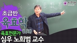 [육효학] 초급과정 공개강좌  (심우 노희범 교수)