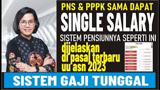 🔴 PNS & PPPK Dibayar Gaji Tunggal (Single Salary) sesuai UU ASN