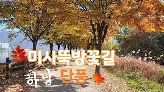 하남위례강변길 가을단풍🍁🍂 #미사뚝방꽃길 #하남위례강변길 #뚝방길 #하남 #단풍 #걷기좋은길 #걷기명상 #걷기 #korea