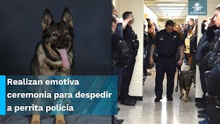 Así despiden a perrita policía que enfermó de cáncer en Virginia