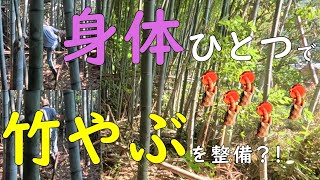 【優雅な開拓（第４章）】農夫は自分の身体とノコギリ一本だけを使って、荒れた竹やぶを整備します