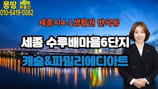 세종시 반곡동 수루배마을1단지 전용면적 84A