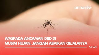 Waspada Demam Berdarah di Musim Hujan, Jangan Abaikan Gejalanya