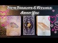 ❤💕 What Are They Thinking & Feeling About You & The Connection 💕❤🦭 Pick A Card Love Reading