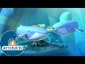 Octonauts - Les baleines désorientées | Dessins animés pour enfants