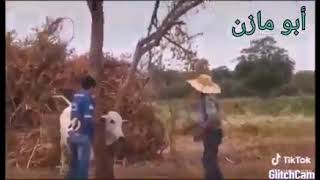 هدي هي مدير خير مايطرا باس