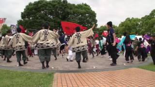 名大祭らんまつり２０１７　【総踊り】　よっちょれ