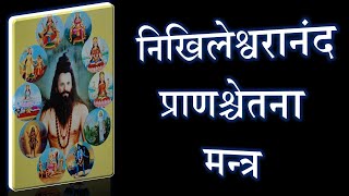 निखिलेश्वरानंद प्राणश्चेतना मन्त्र | Nilhil Chetna Mantra | Narayan Dutt Shrimali