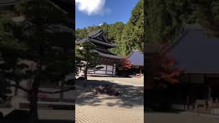 紅葉の佛通寺♫