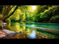 non stop relaxing music therapy for stress relief