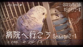 病院へ行こう　Season2-1