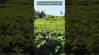 Samse Ganapati temple | Samse | Samse tea estate | Chikkamagalur | Horanadu #travel#Samse#nature