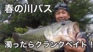 [バス釣り]春の川バス オカッパリ〜濁ったらクランクベイト！