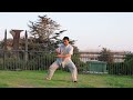 master chen bing chen taiji quan basic 13 postures form 陈炳老师陈氏太极拳基本十三式