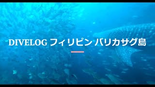 【DIVELOG】フィリピン バリカサグ島 ダイビング | Scuba Diving in Balicasag Island Philipines【ジンベイザメ・ギンガメアジ群】