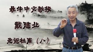 【史上最牛中文教授戴建业老师讲座全集】 走近杜甫（八）