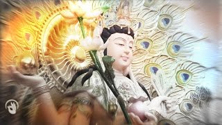 佛母大孔雀明王心咒  Mahamayuri Mantra