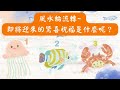 【占心意石】新增CC字幕｜風水輪流轉！即將迎來的驚喜好運&祝福是什麼呢？塔羅占卜/不限時占卜/大眾占卜/盧恩符占卜/天使訊息/宇宙指引/現況指引/宇宙訊息/茶葉占卜