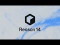 Reason 14: Everything in Its Right Space
