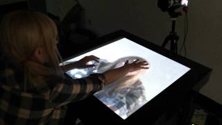 Multi-Touch DIY Table