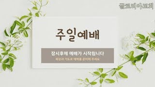 [Live]글로리아교회 주일 오전예배 2부(12/08)