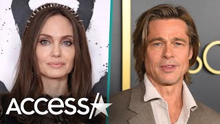 Angelina Jolie Sued By Brad Pitt For Trying To Sell Shares Of Their Winery (Report)