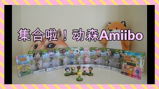 集合啦！动森Amiibo 【Animal Crossing Amiibo Reviews】