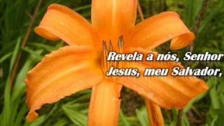 HARPA CRISTÃ - 88 - REVELA A NÓS, SENHOR.wmv