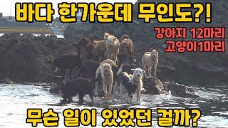 육지에서 7km 외딴섬 무인도에서 살아가는 그들의 이야기 무인도그 리턴즈 EP-40