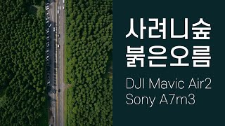 제주 랜선여행_사려니숲 붉은오름 / DJI Mavic air2 + Sony A7m3