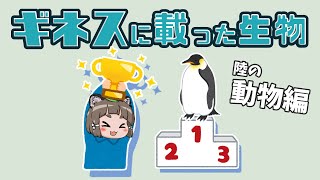 【ゆっくり解説】世界一！ギネス記録に載った生き物10選（動物・陸上生物編）