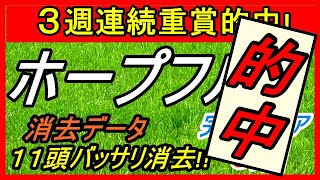 ホープフルS2019　消去データ 完璧クリア6頭　11頭バッサリ消去