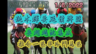 賽馬投資-1/6/2021香港賽馬第8場貼士心水 HK Horse Racing Tips R8