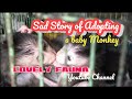 Sad story of  adopting a baby monkey . Lovely Fauna Youtube Channel