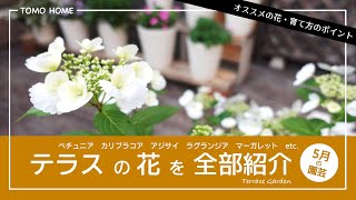 【オススメや育て方】ガーデンテラスツアーお花全部紹介【春と夏の花】