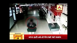 Pratyakshdarshi : 50 Thousand Theft From Talaja Bank, Watch CCTV And Full Report