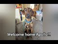 Apollo's Journey - SmithicAir - Prairie Ghosts featuring Dakota Willow & Donna Hoffman