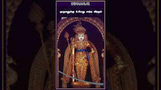 Today Aranya Gauri Vratham, Shashti Vratham (May 25, Vaikasi 11)