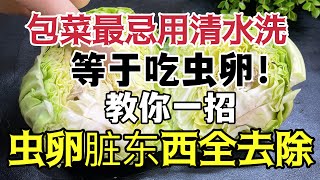 包菜最忌用清水洗，等於吃蟲卵！教你一招，蟲卵髒東西全去除