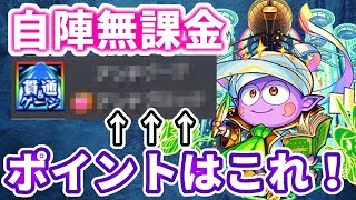 【超絶：ケセド】自陣無課金攻略！書庫キャラのみでの解説