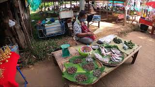 ตลาดนัดไทย-ลาว บ้านหนาด จ.นครพนม เปิดวันแรกในรอบ 4 เดือน