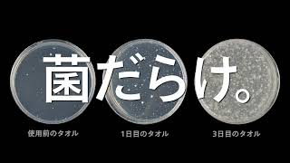 ついに自宅にハンドドライヤーが！タオルからの菌移りゼロ！手間もゼロで経済的！ ecod 自宅用ハンドドライヤー SY-157【SOUYI公式】