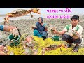 વરસાદ ના લીધે કરચલા પાગલ 🦀🦀Crabs metall🦀🦀